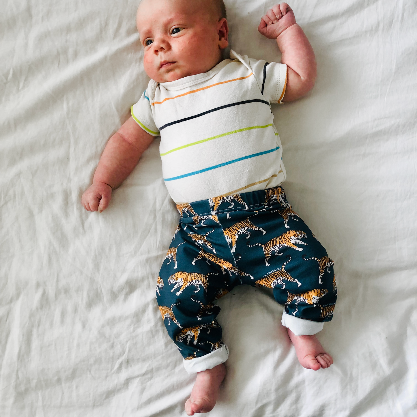 Navy Tiger Leggings - Chuckles & Caz