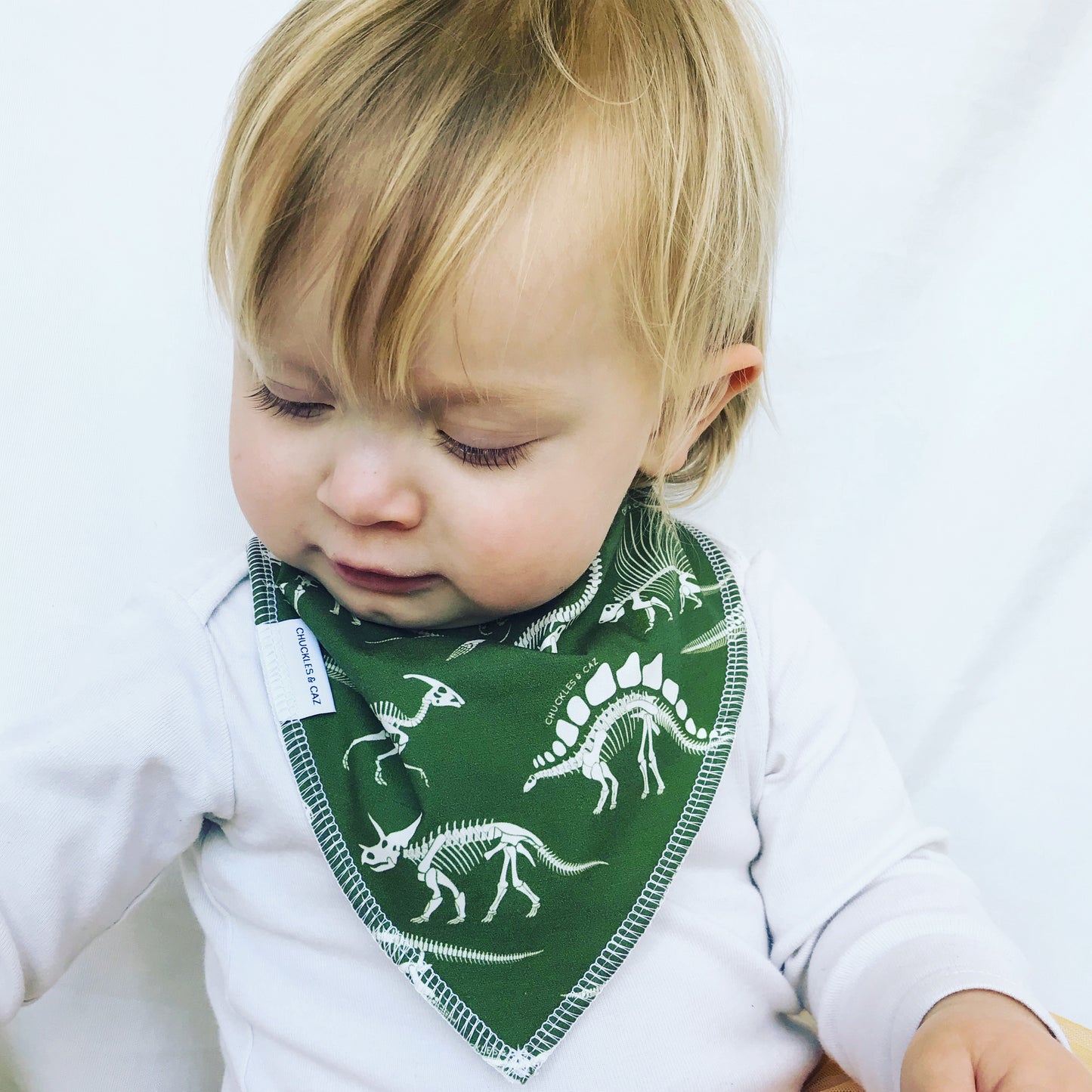 Dinosaur Skeleton Dribble Bib