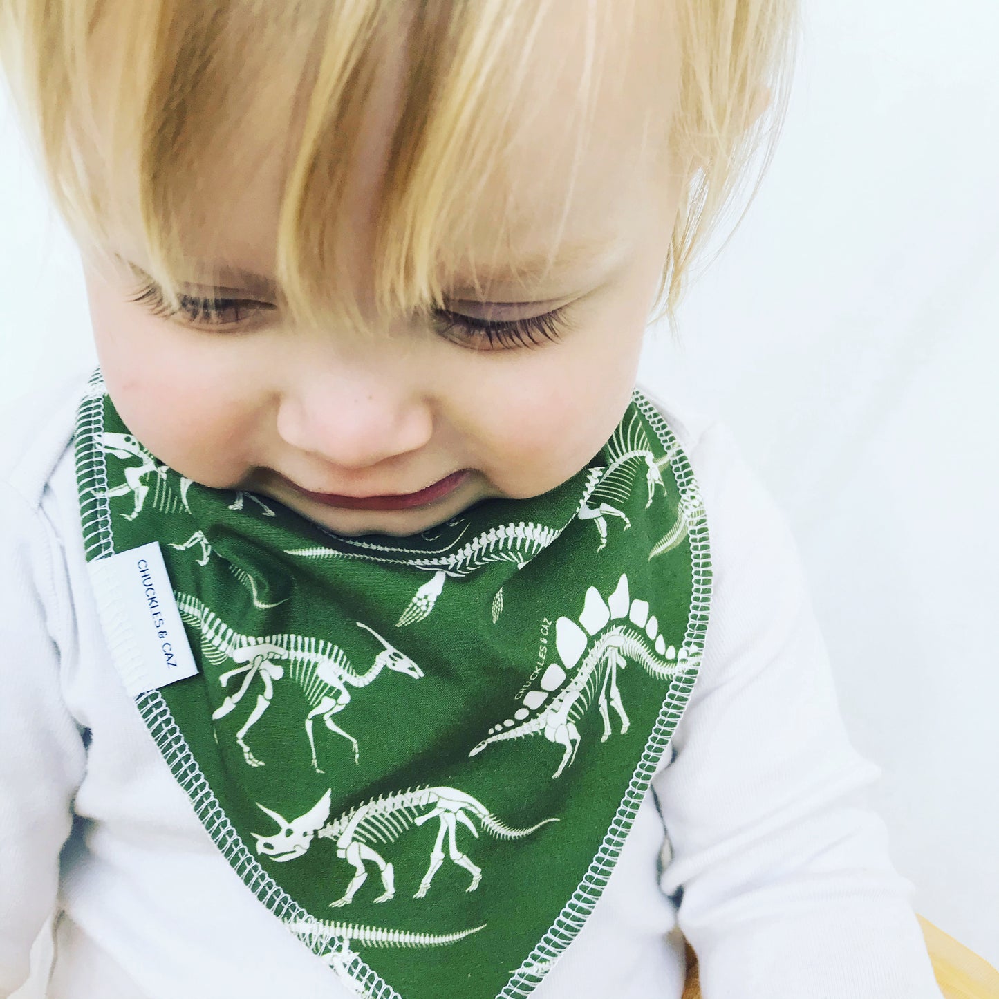 Dinosaur Skeleton Dribble Bib