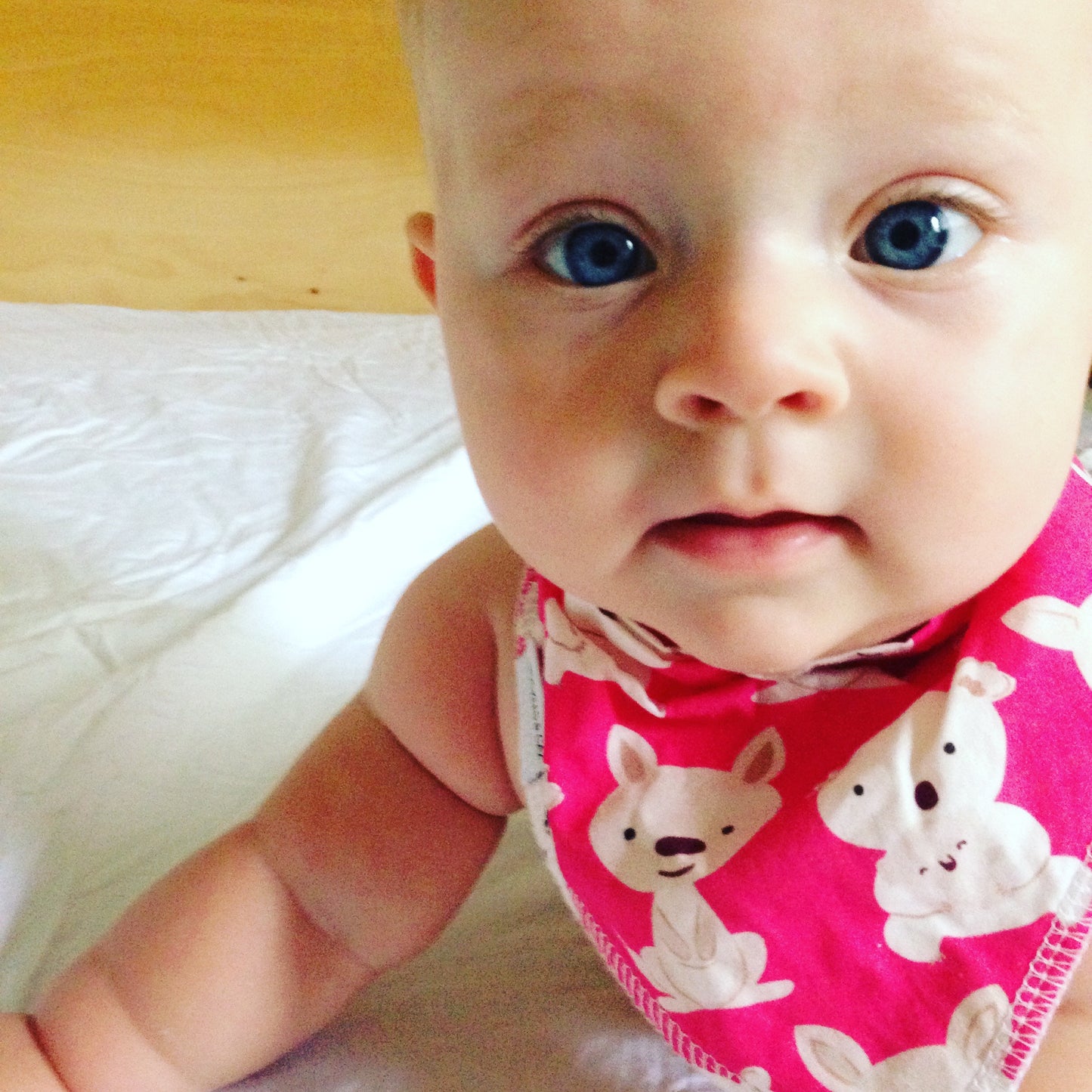 Pink Kangaroo & Koala Dribble Bib - Chuckles & Caz