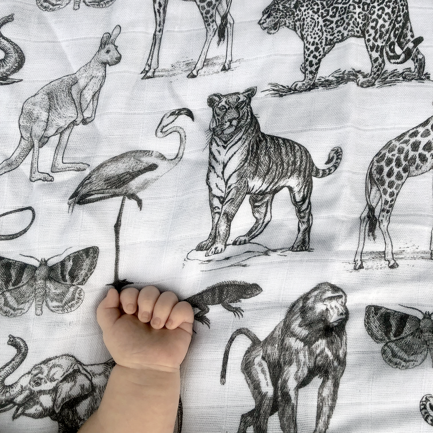 Animal print muslin sale